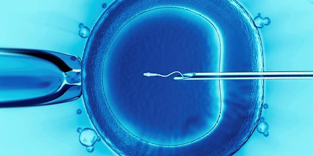USCCB Issues Letter in Opposition to Proposed IVF Legislation